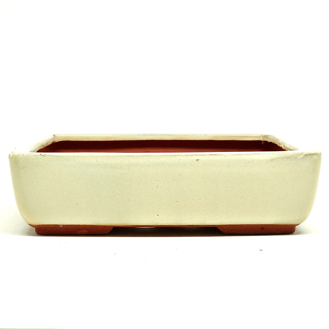 Schale Eckig 21,5 x 17 x 6